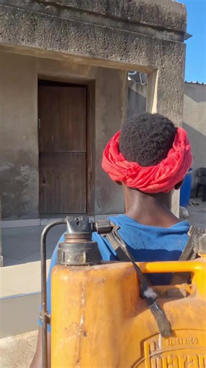 Understanding Tsonga Culture Through Video