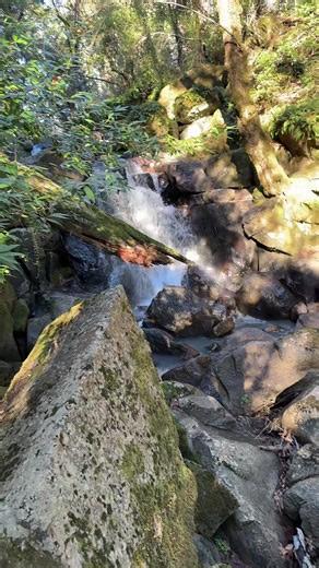 #greengoddessessentials #crystaltok #fyp #hiking #nature