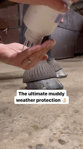 3.7K views · 25 reactions | Need a bit of help with wet and muddy...