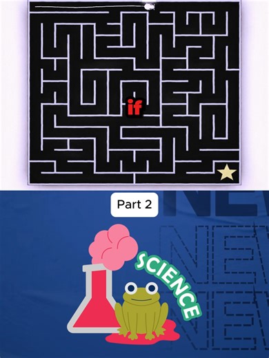 Exploring the Fastest Maze-Solving Techniques