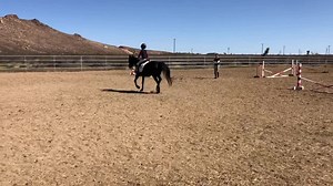 #LTHLeah gave Mila her first jumping lesson today. It is Mila’s 9th birthday today. 💖 #SaveDistance #RightHorse Leah’s adoption profile link: https://www.myrighthorse.org/available-horses/mare-arabian-from-mojave-leah | Love this Horse, Equine Rescue Inc.