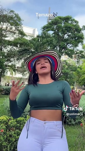 Temazos de Vallenato: Silvio Brito y sus Éxitos