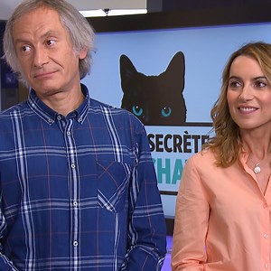 2.4M views · 10K reactions |  Ce jeune couple a adopté un petit chat qui est en fait déjà pucé… Qui gardera Kitty aka Marcus chez lui ?  Découvrez La vie secrète des chats, tous les mardi sur #RMCStory à 21h10 et sur RMC BFM PLAY !  https://bit.ly/47zzfbF | RMC Story | Facebook