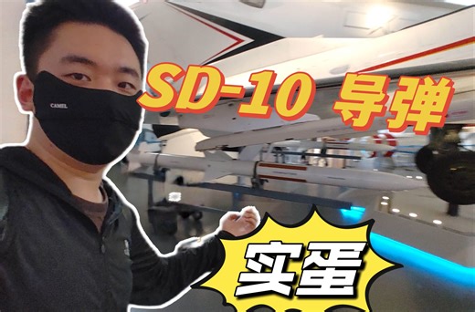 SD-10 中距空空导弹 国产导弹