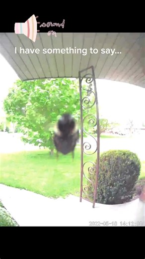 Bumble Bee Sounds: Up Close Encounters on World Bee Day