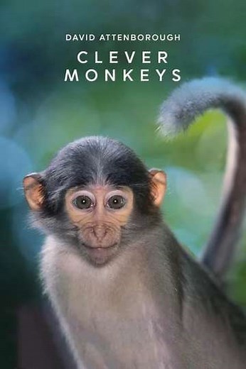 Clever Monkeys - Movie