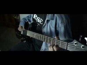 Toxicity - system of a down ( bass cover )