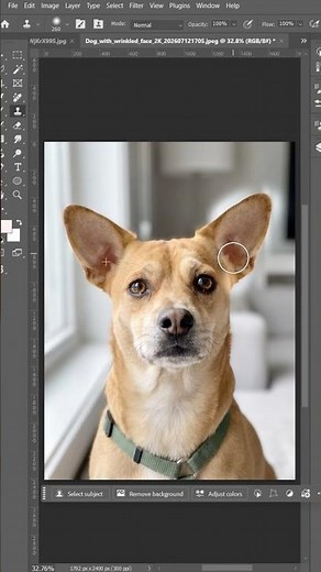 A few useful tips for using the Clone Stamp Tool in Photoshop! #photoshop #designer
