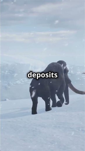 Discover Gold in Ohio Ice Age Glacial Deposits & Richland County Streams! #gold #ohio