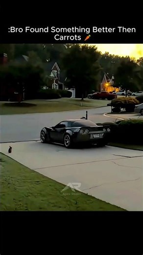 Bro Found Something Better Then Carrots 💀🏎 #shorts #automobile #bunny