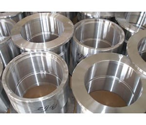 [Hot Item] Heavy Forged Parts/Special Forging Parts/Forged Machining Parts (HS-FOG-003)