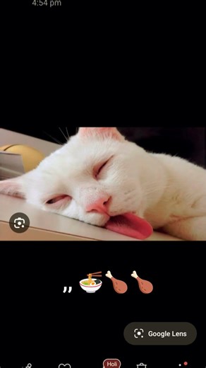 kandathu thunu#🍗🍜🍜😭🐱