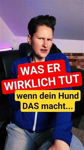 When your dog suddenly stops 🐕 #dogtraining