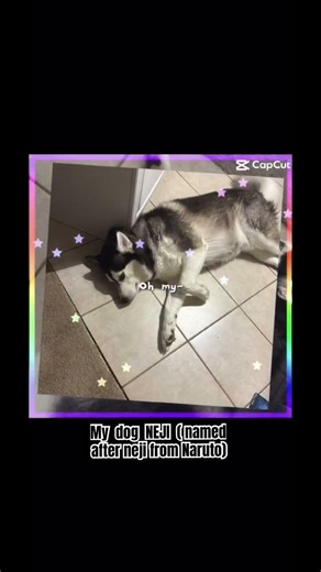 His name is neji yes like from Naruto #babyboy #love #neji