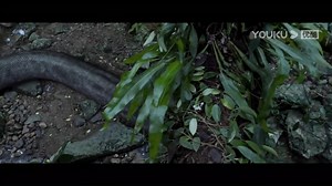 Giant Snake appeared and swallowed them when they destroyed its eggs! 😱无知大学生破坏蛇蛋，不料惹怒巨蟒被一口吞！ #SnakeIslandPython #蛇岛狂蟒 📺Watch it on YOUKU APP 👉https://qr.youku.com/pr?c=xaYZpfrZB0kv 💜Shop officially licensed merch of your favorite YOUKU programs 👉https://bit.ly/KOITAKEfb #YOUKUMOVIE #优酷电影 | Youku Movie