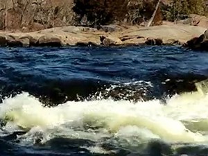 Canon T2i Test - Nature Shots