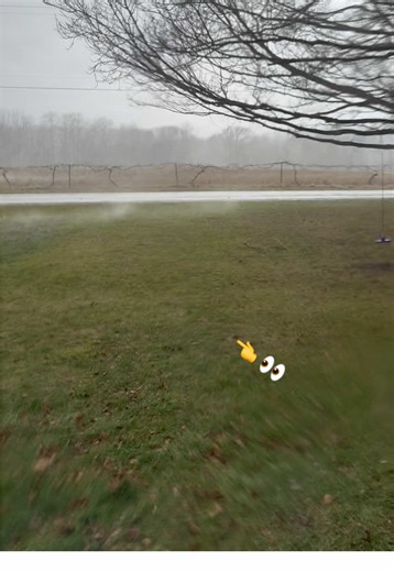 The rain went 0 to 100 in about 2 seconds. Even my cat woke up from the noise. So I put my phone up to the window to record it, and you can see literal gusts of rain sweep across the yard. Nature is amazing. This was SO loud. #Rain #RainASMR #SoCool #HeavyRain #Windy