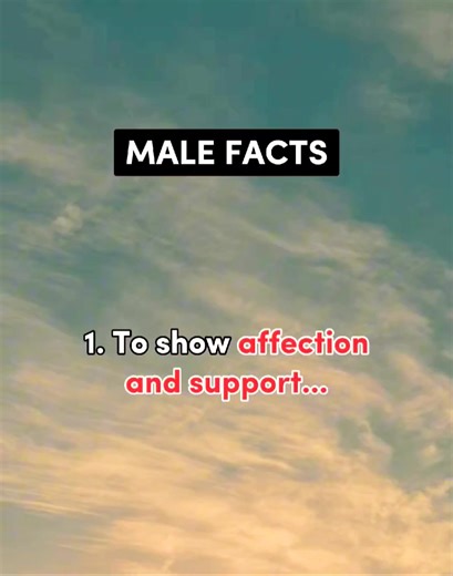 18K views · 156 reactions | Male facts #sadreels #reletable #relationshipfact #relationship #fyp #quotes @highlight Retselisitsoe Leaooa 小李的李 Ayyappan Elumalai Mie Jagoan Sê Rê Ñë Ardhy Mifta Brenda Lim John Maina Rendi Kustono Lacy Kimberly Amit Singh | Prityraj Chakma | Facebook