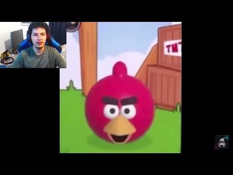 Talking red angry bird meme
