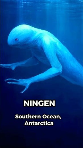 Scary Cryptids from around the world