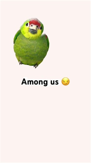 Among us ￼ sus ￼