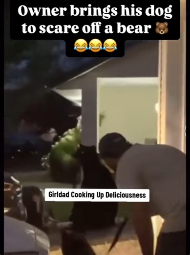 Bear 🐻 Said Just What I Been Looking For