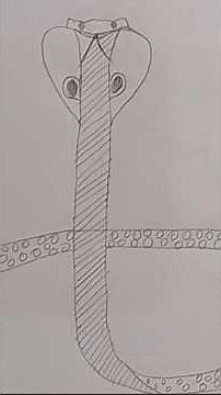 How to Draw a Snake | Easy Step-by-Step Snake Drawing for Kids and Beginners #art #drawing