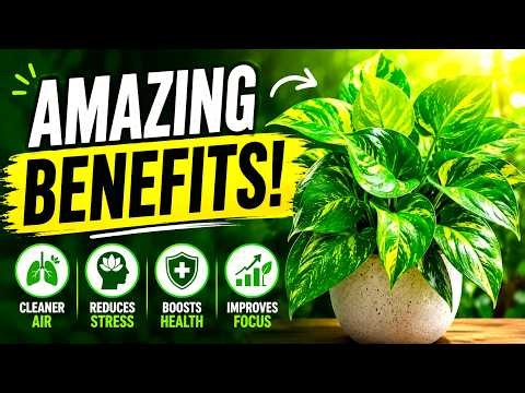 How to Grow Pothos FAST at Home 8 Proven Secrets!