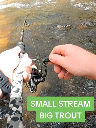 Chasing Wild Brown Trout in Victoria's High Country