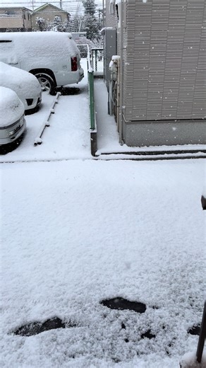 #雪積もってる😱