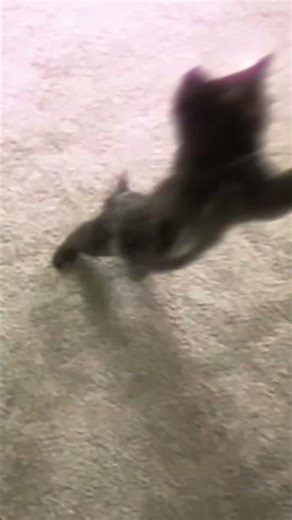 First time using graphs 😛