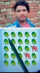 #Apna #talent #vahi #dikhao #Jahan uski jarurat ho mere bhai | Ilyashkan Ilyashkan