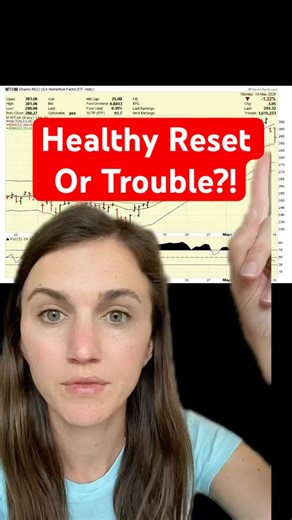 Momentum Stocks Finally Pulled Back… Here’s the Key Level I’m Watching #stocks