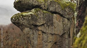 A steep cliff in the autumn forest with fog. Trees are growing on the top of the cliff. Walking primitive autumn forest