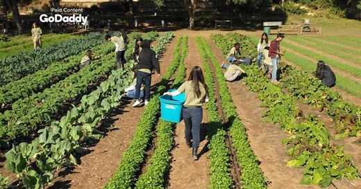 In the shadow of Austin, Texas, a small farm looms large