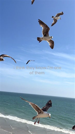 #fyp #viral #bird #trending | bird meaning