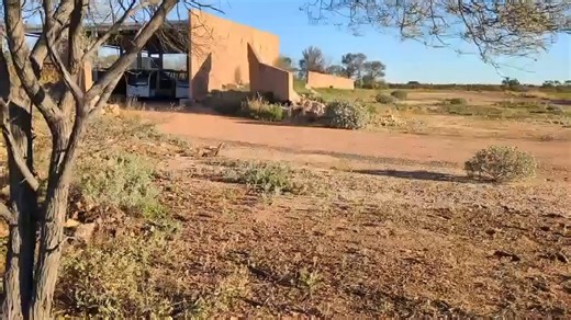 This incredible video was taken by one of our tour guides just outside the Reception Centre. It shows a yellow-spotted or argus monitor ("Varanus panoptes") circling a very upset juvenile black-headed python ("Aspidites melanocephalus"). We can’t determine whether this is territorial or predatory behaviour but knowing their diets may offer some clues. Yellow-spotted monitors are opportunistic feeders – they’ll eat insects, birds, small mammals, carrion (decaying meat) and even eggs. Black-headed