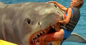 Top 10 Scariest Movie Shark Attacks | Videos on WatchMojo.com