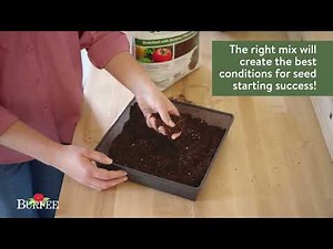 Introduction to Indoor Seed Starting