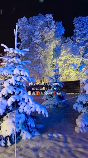 Joyful Christmas & Winter Wonderland Vibes