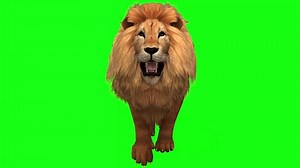Green Screen Lion Actionwalkingroarrunning Video Clip Stock Footage Video (100% Royalty-free) 3522880379 | Shutterstock