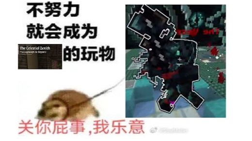 队友暴毙后被迫品鉴solo a17 vesp