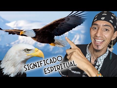 Significado Espiritual del Águila 🦅 | Totem Animales de Poder