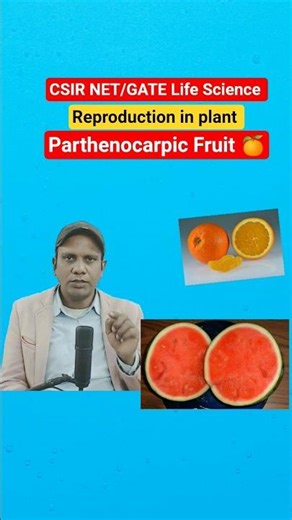 Parthenocarpy l reproduction in plant l fruit l #shortsfeed #csirnetlifescience #gatelifesciences
