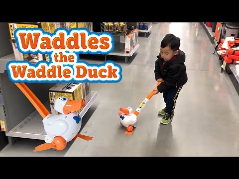 Waddles the Waddle Duck