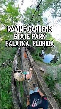 Ravine Gardens State Park, Palatka, Florida a hidden gem! #floridastateparks #florida #palatka
