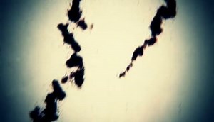 Bleed (Particular experiment 02)