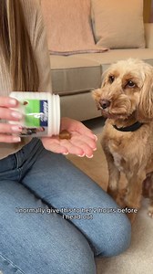 Visit our website and discover how ADAPTIL can bring comfort and confidence to your dog! 🐾 Whether they're at home 🏠, on the move 🐕, or exploring new places 🌳, ADAPTIL uses soothing pheromones to help them stay calm and relaxed, no matter what life throws their way. | ADAPTIL