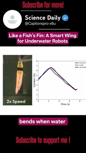 Like a Fish’s Fin: A Smart Wing for Underwater Robots #shorts #science