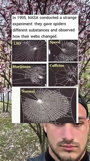 In 1995, NASA conducted a strange experiment